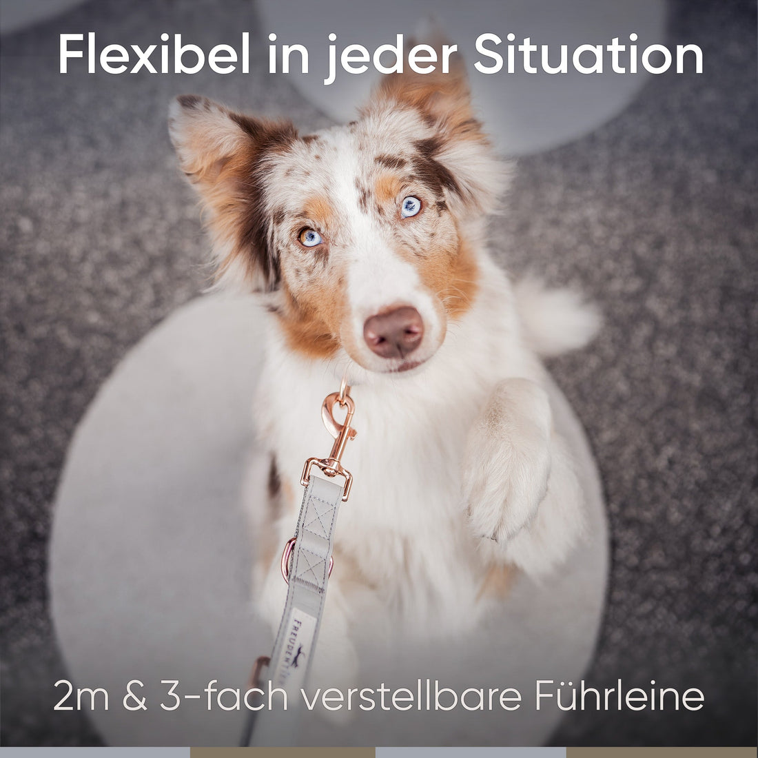 Hundeleine aus veganem Leder - Hyde Park Kollektion 2.0