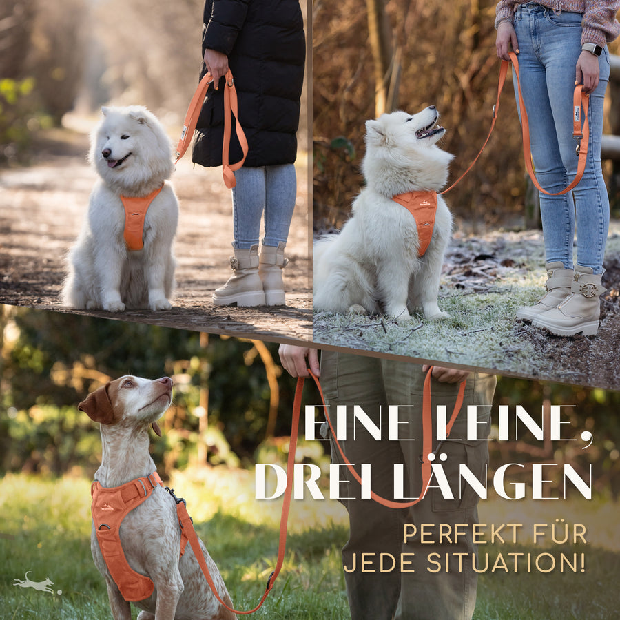 Führleine mit weicher Polsterung - Clyde Kollektion in Sunset Orange