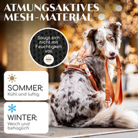 NEU: Atmungsaktives Hundegeschirr - Clyde Kollektion in Sunset Orange