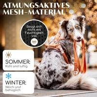 Gassi-Komplettset - Hundegeschirr & Leine im perfekt aufeinander abgestimmten Look