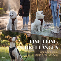 Gassi-Komplettset | Hundegeschirr & Leine perfekt aufeinander abgestimmt