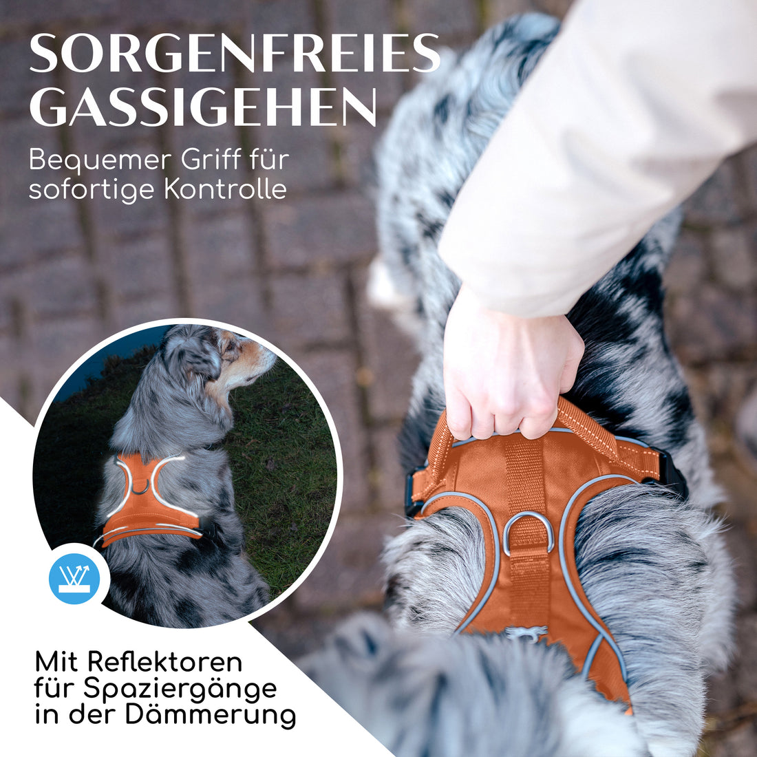Gassi-Komplettset - Hundegeschirr & Leine im perfekt aufeinander abgestimmten Look