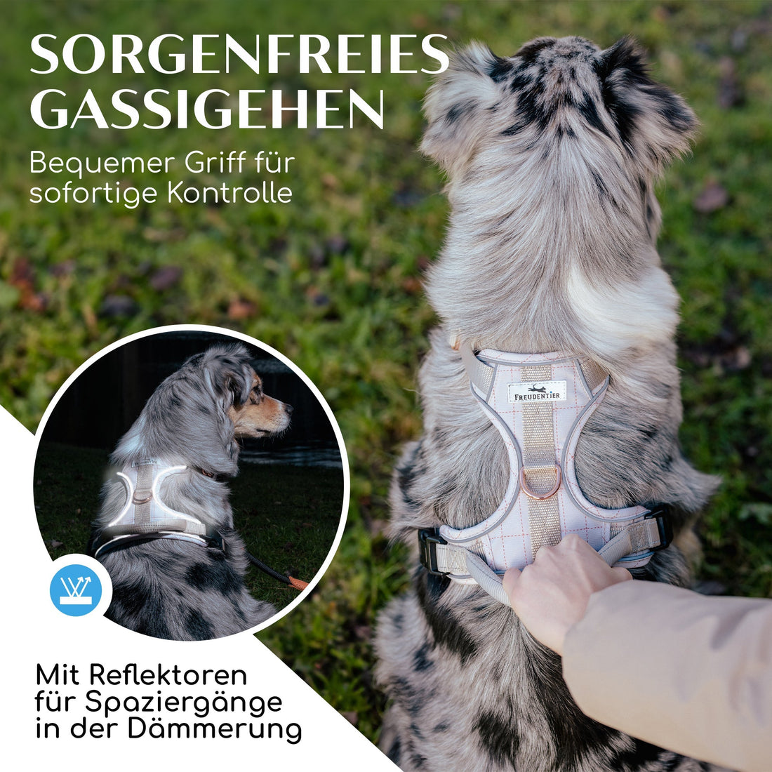 Atmungsaktives Hundegeschirr - Clyde Kollektion