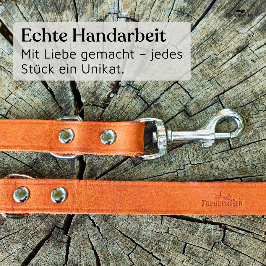 NEU: Hundeleine aus Leder - Alsterufer Kollektion in Sunset Orange