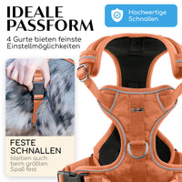 Gassi-Komplettset - Hundegeschirr & Leine im perfekt aufeinander abgestimmten Look