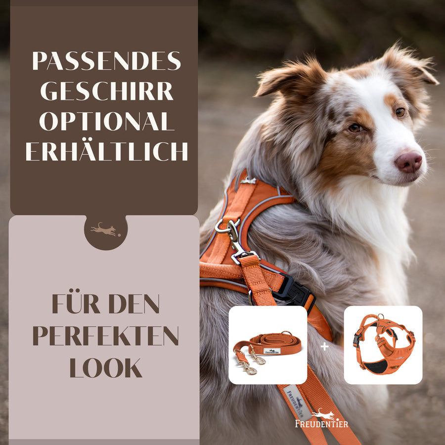 Führleine mit weicher Polsterung - Clyde Kollektion in Sunset Orange