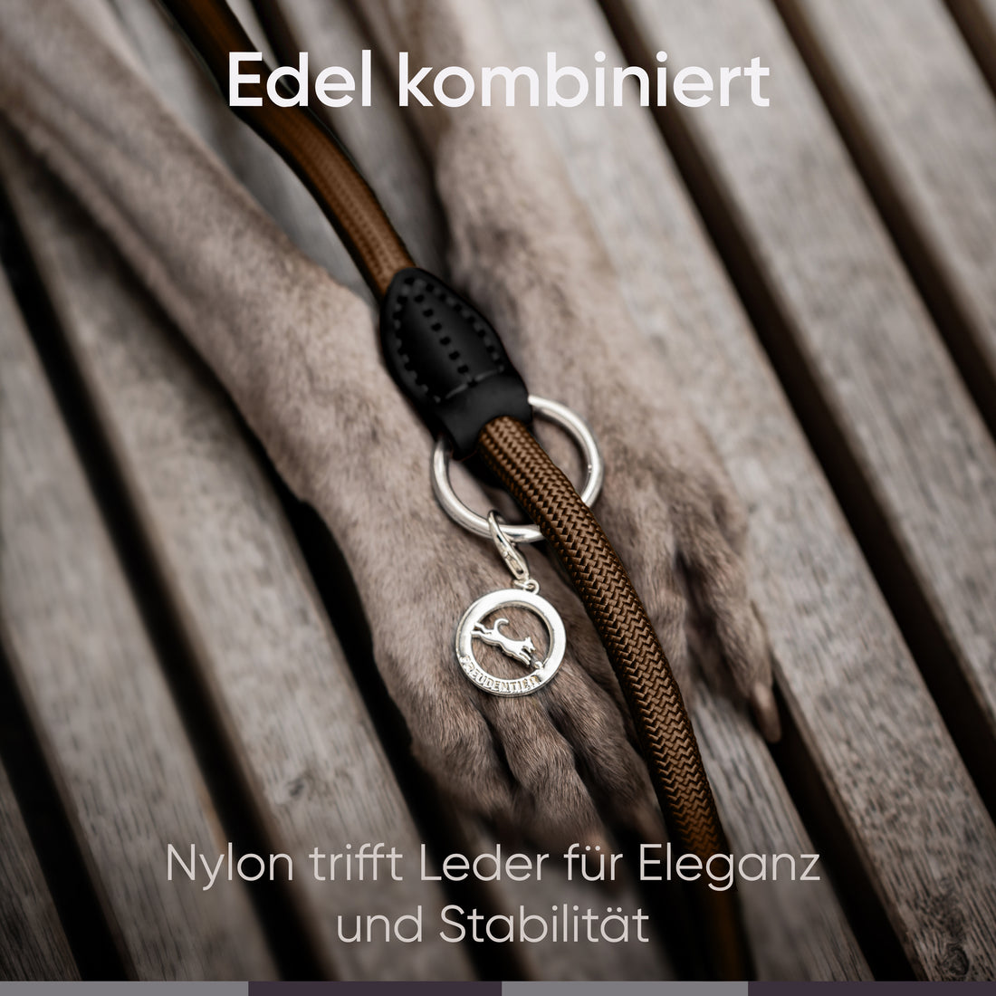 Runde Hundeleine in 2m & 3m - Model Harmony in Chocolate