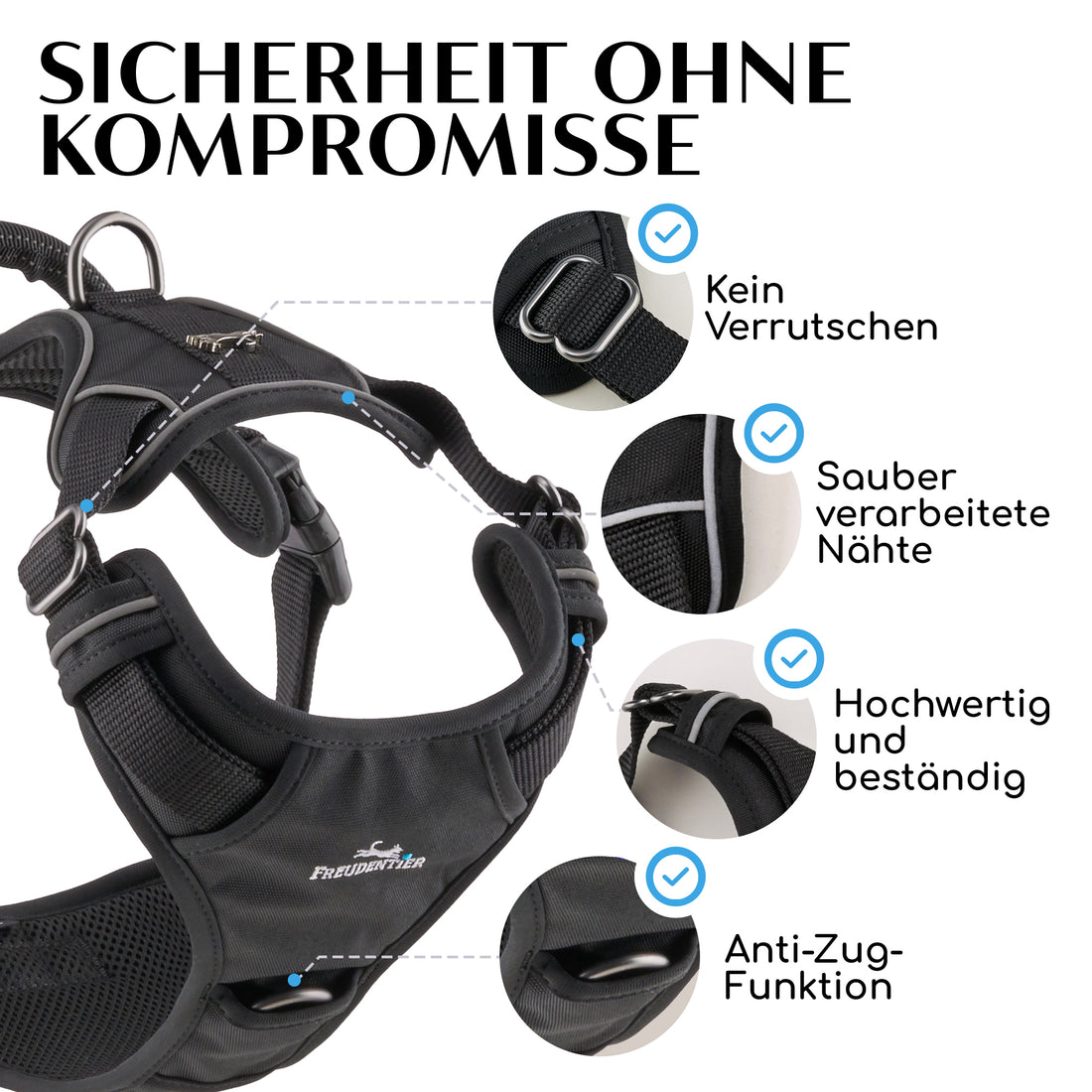 Gassi-Komplettset - Hundegeschirr & Leine im perfekt aufeinander abgestimmten Look