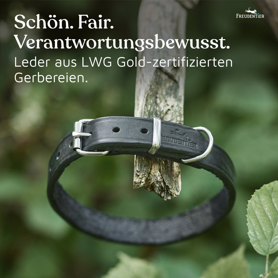 NEU: Hundehalsband aus Leder - Alsterufer Kollektion in Midnight