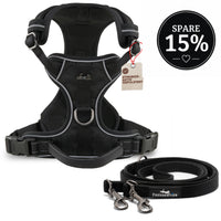 Gassi-Komplettset - Hundegeschirr & Leine im perfekt aufeinander abgestimmten Look