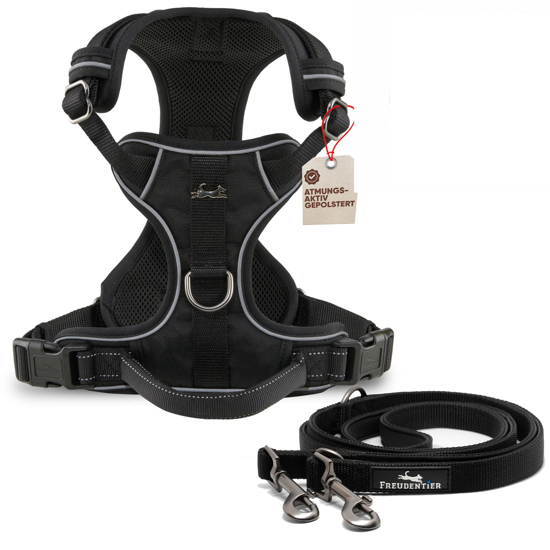 Gassi-Komplettset - Hundegeschirr & Leine im perfekt aufeinander abgestimmten Look