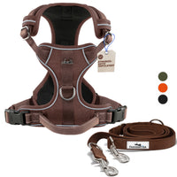 Gassi-Komplettset - Hundegeschirr & Leine im perfekt aufeinander abgestimmten Look