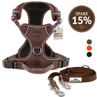 Gassi-Komplettset - Hundegeschirr & Leine im perfekt aufeinander abgestimmten Look