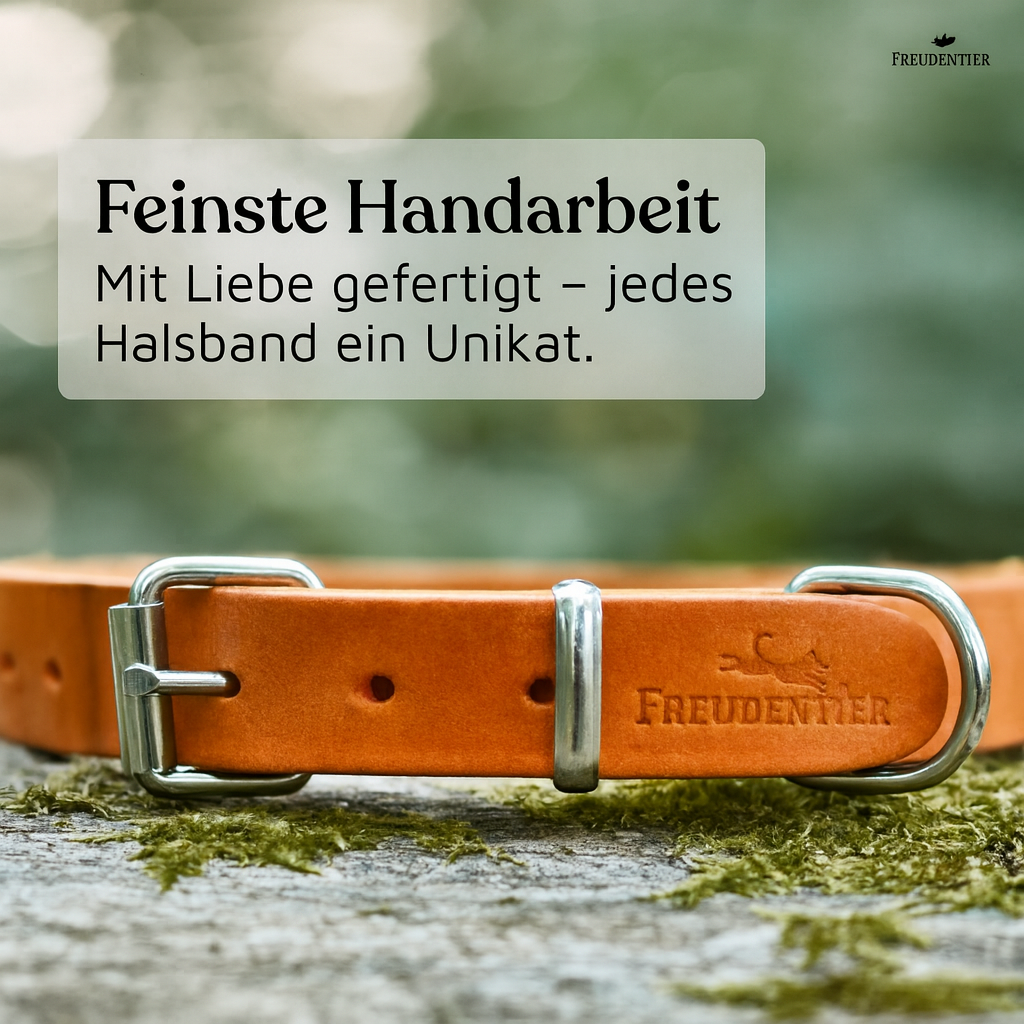 NEU: Hundehalsband aus Leder - Alsterufer Kollektion in Sunset Orange