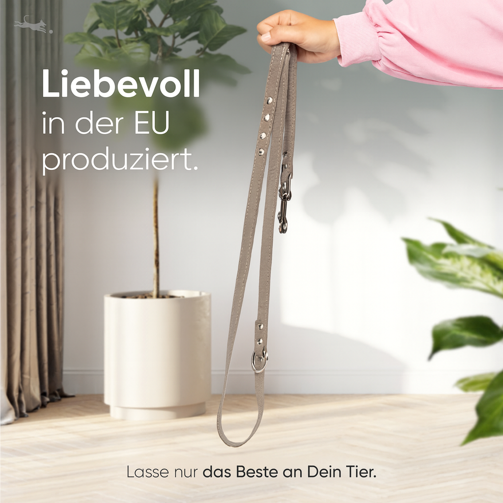 Hundeleine aus Leder - Amstelpark Kollektion in Graubraun