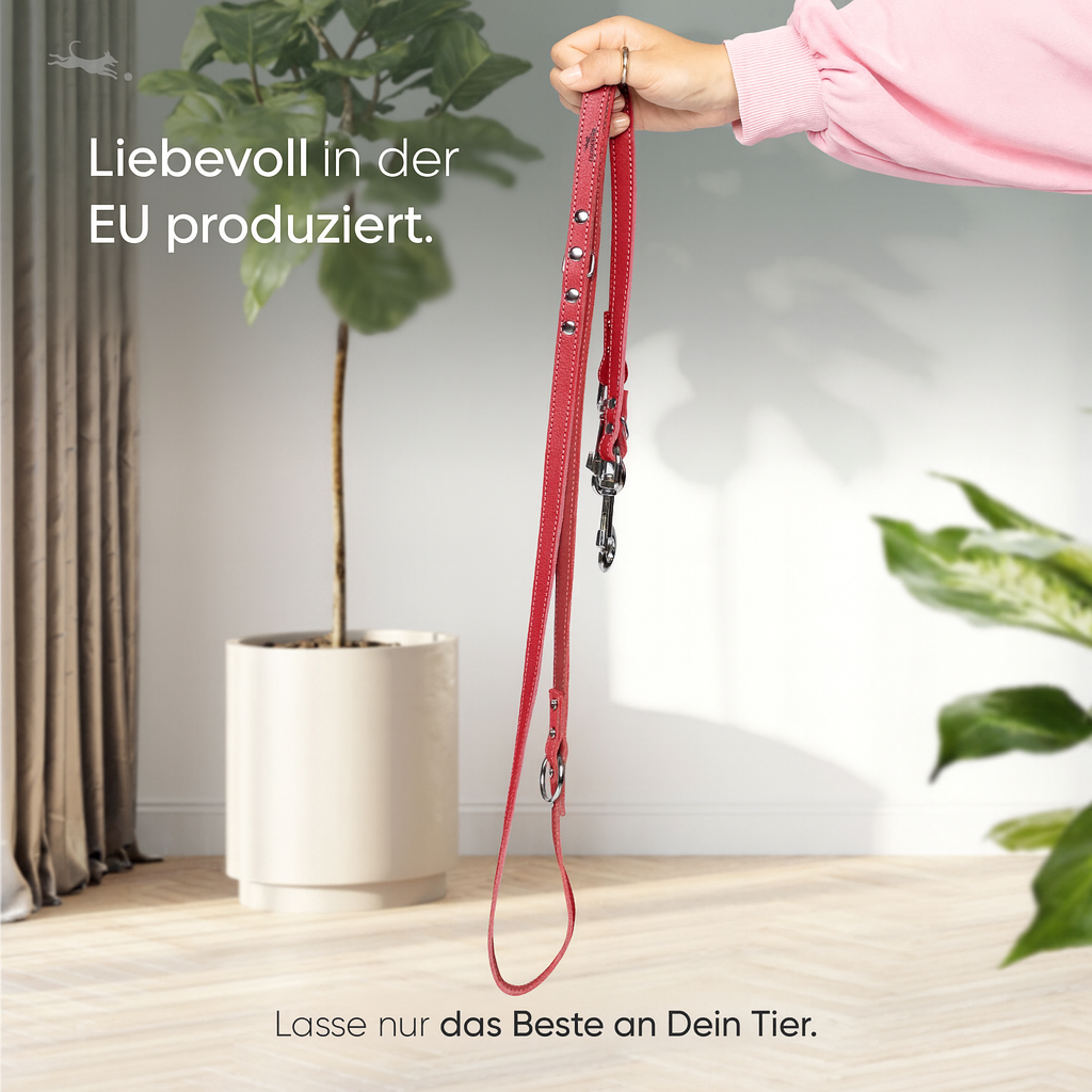 Hundeleine aus Leder - Amstelpark Kollektion in Spicy Red