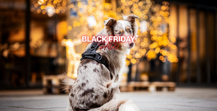 Freudentier Black Friday Hundegeschirr Rabatt Sale 
