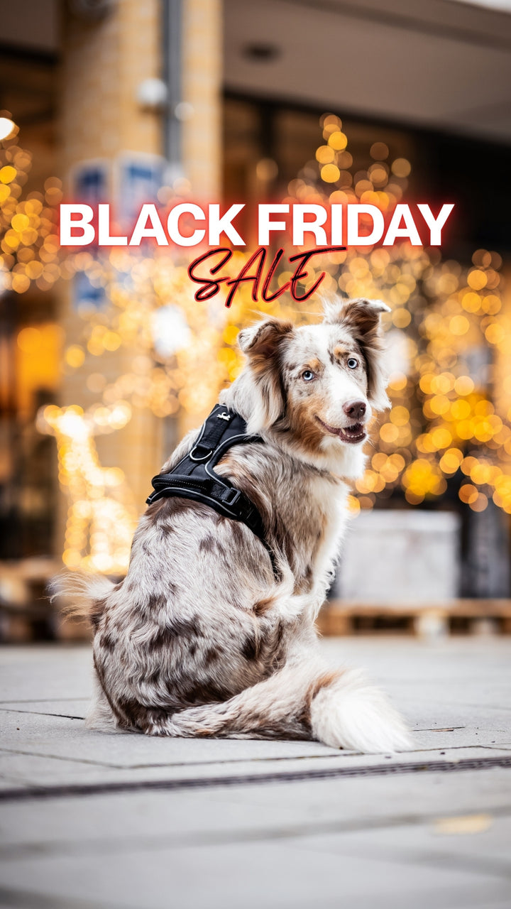 Freudentier Black Friday Hundegeschirr Rabatt Sale 