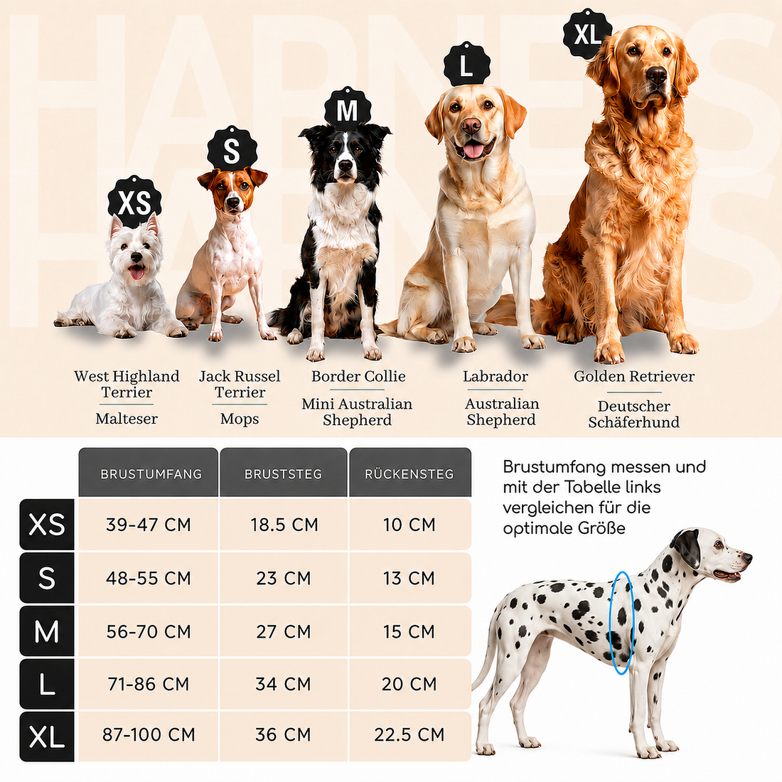 Atmungsaktives Hundegeschirr - Clyde Kollektion in Chocolate