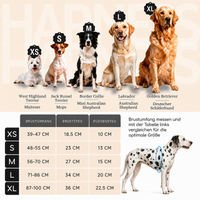 Gassi-Komplettset - Hundegeschirr & Leine im perfekt aufeinander abgestimmten Look