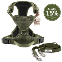 Gassi-Komplettset - Hundegeschirr & Leine im perfekt aufeinander abgestimmten Look