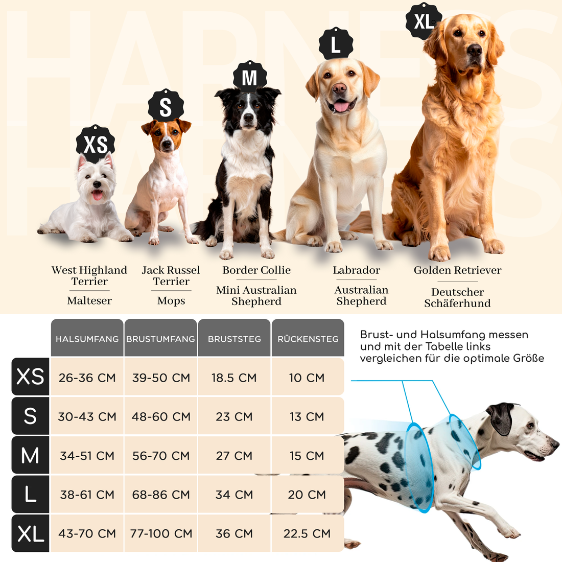 NEU: Atmungsaktives Hundegeschirr - Clyde Kollektion in Sunset Orange