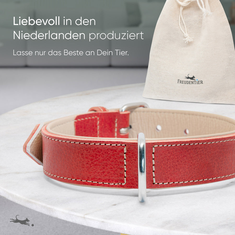 Hundehalsband aus Leder - Amstelpark Kollektion in Spicy Red