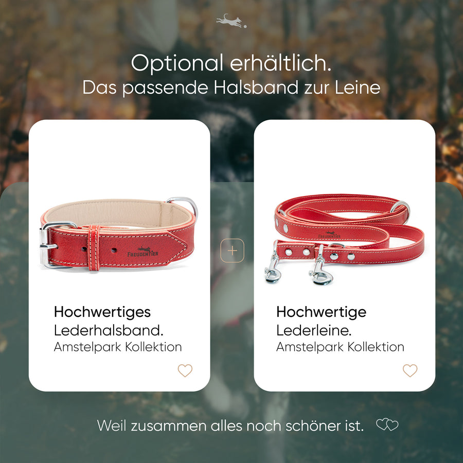Hundeleine aus Leder - Amstelpark Kollektion in Spicy Red