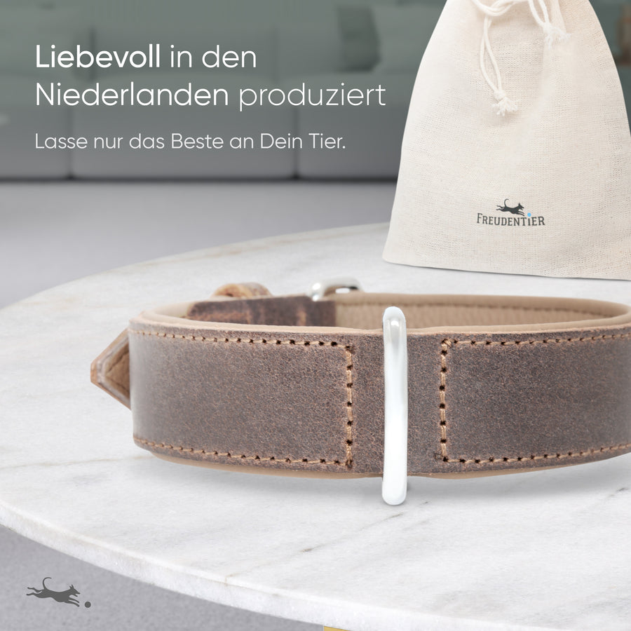 Hundehalsband aus Leder - Amstelpark Kollektion in Dark Chocolate