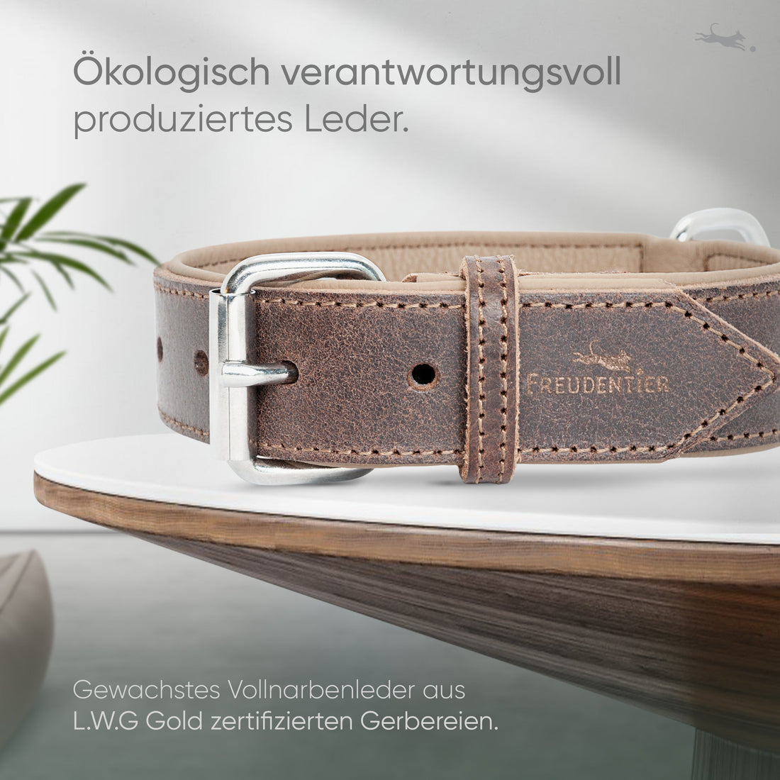 Hundehalsband aus Leder - Amstelpark Kollektion in Dark Chocolate