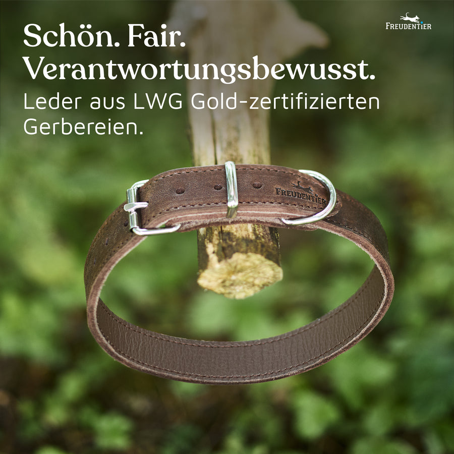 NEU: Hundehalsband aus Leder - Alsterufer Kollektion in Chocolate
