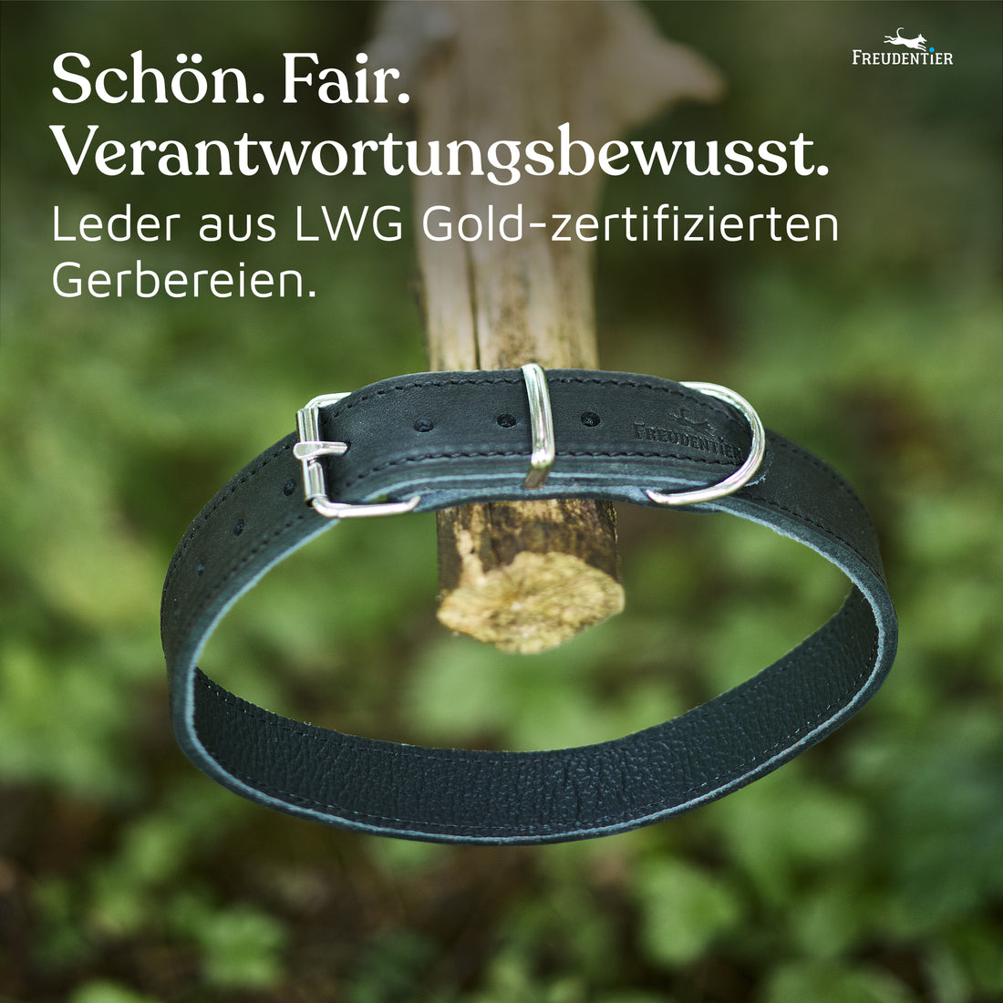 NEU: Hundehalsband aus Leder - Alsterufer Kollektion in Midnight