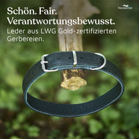 NEU: Hundehalsband aus Leder - Alsterufer Kollektion in Midnight