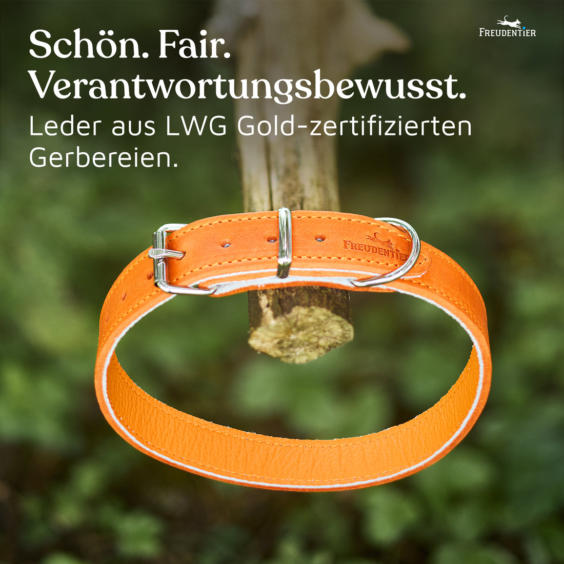 NEU: Hundehalsband aus Leder - Alsterufer Kollektion in Sunset Orange