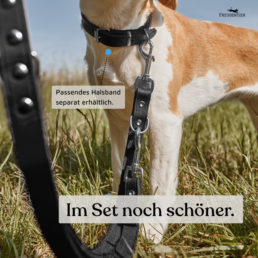 NEU: Hundeleine aus Leder - Alsterufer Kollektion in Midnight