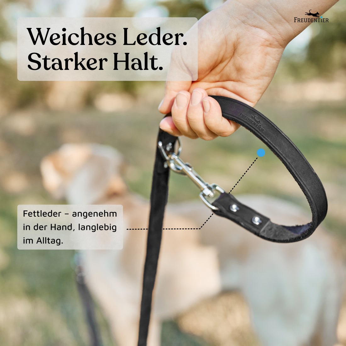NEU: Hundeleine aus Leder - Alsterufer Kollektion in Midnight