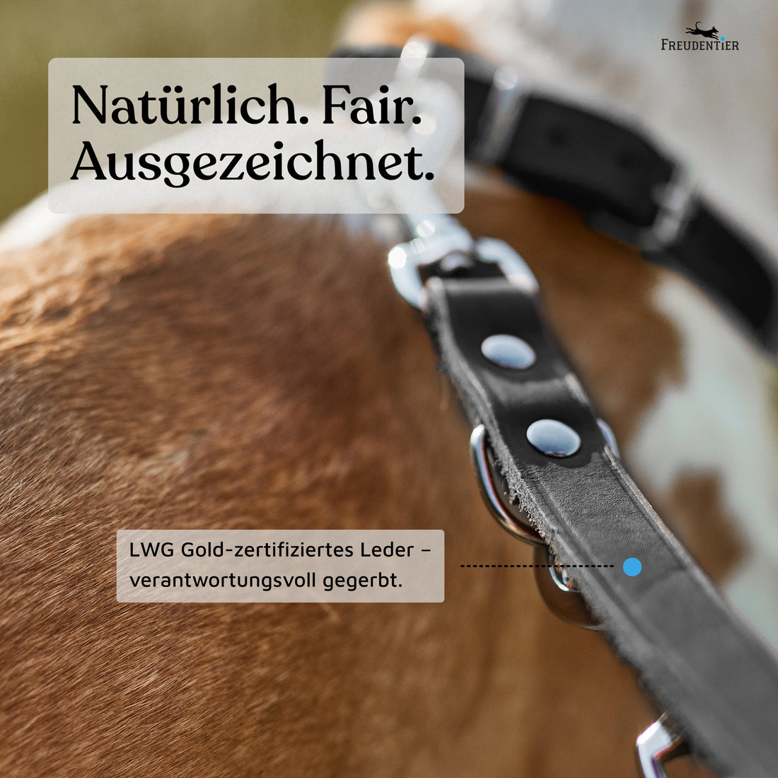 NEU: Hundeleine aus Leder - Alsterufer Kollektion in Midnight