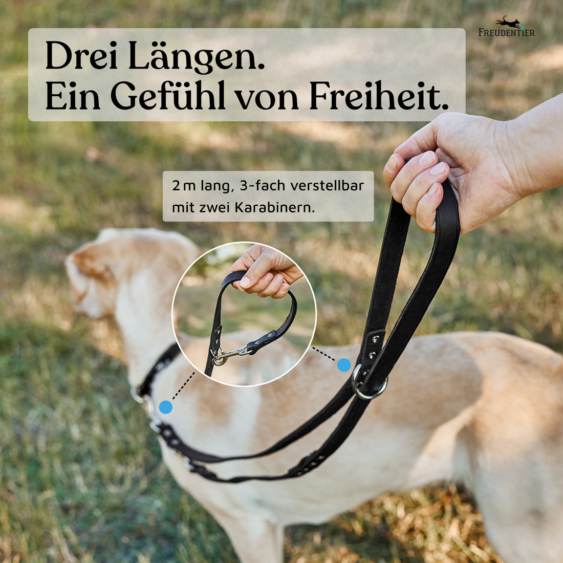 NEU: Hundeleine aus Leder - Alsterufer Kollektion in Midnight