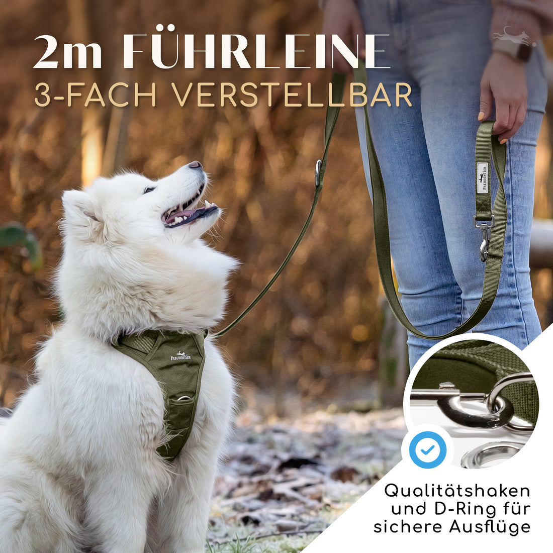 NEU: Hundeleine mit weicher Polsterung - Clyde Kollektion in Forest Green