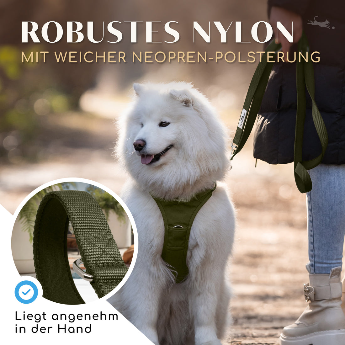 NEU: Hundeleine mit weicher Polsterung - Clyde Kollektion in Forest Green