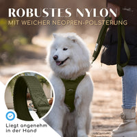 NEU: Hundeleine mit weicher Polsterung - Clyde Kollektion in Forest Green