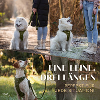 NEU: Hundeleine mit weicher Polsterung - Clyde Kollektion in Forest Green