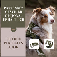 NEU: Hundeleine mit weicher Polsterung - Clyde Kollektion in Forest Green