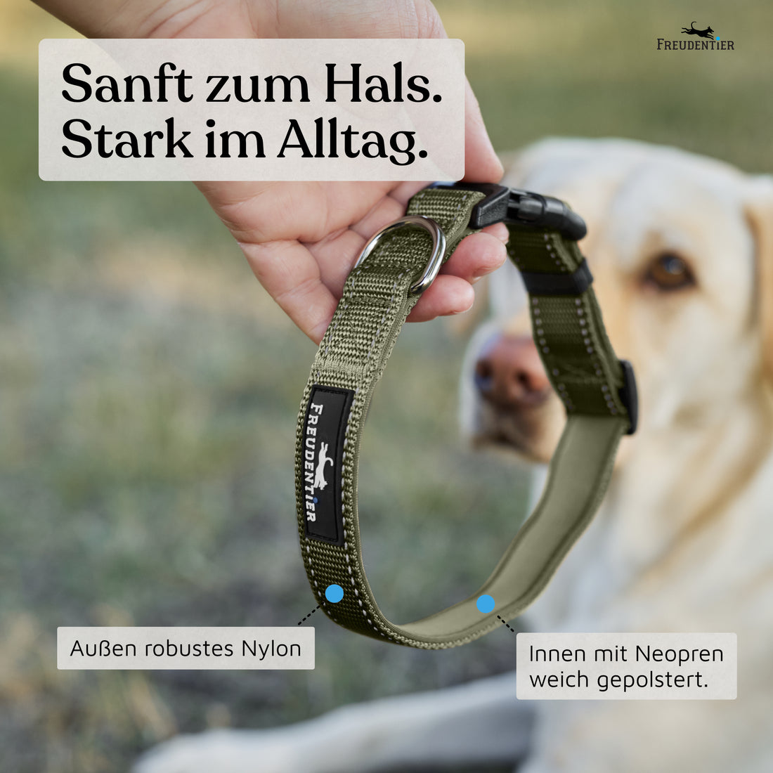 Hundehalsband - Clyde Kollektion in Forest Green