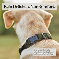 Hundehalsband - Clyde Kollektion in Forest Green