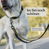 Hundehalsband - Clyde Kollektion in Forest Green