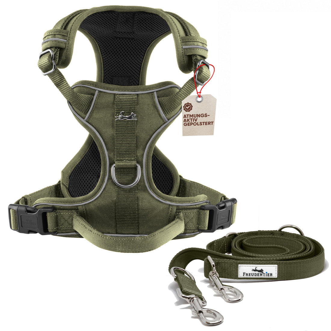 Gassi-Komplettset - Hundegeschirr & Leine im perfekt aufeinander abgestimmten Look