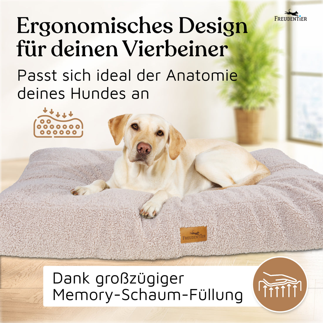 NEU: Orthopädisches Hundekissen aus Teddy - Kuschelbär Kollektion in Greige