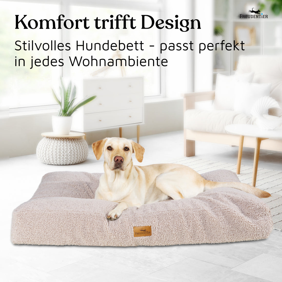 NEU: Orthopädisches Hundekissen aus Teddy - Kuschelbär Kollektion in Greige