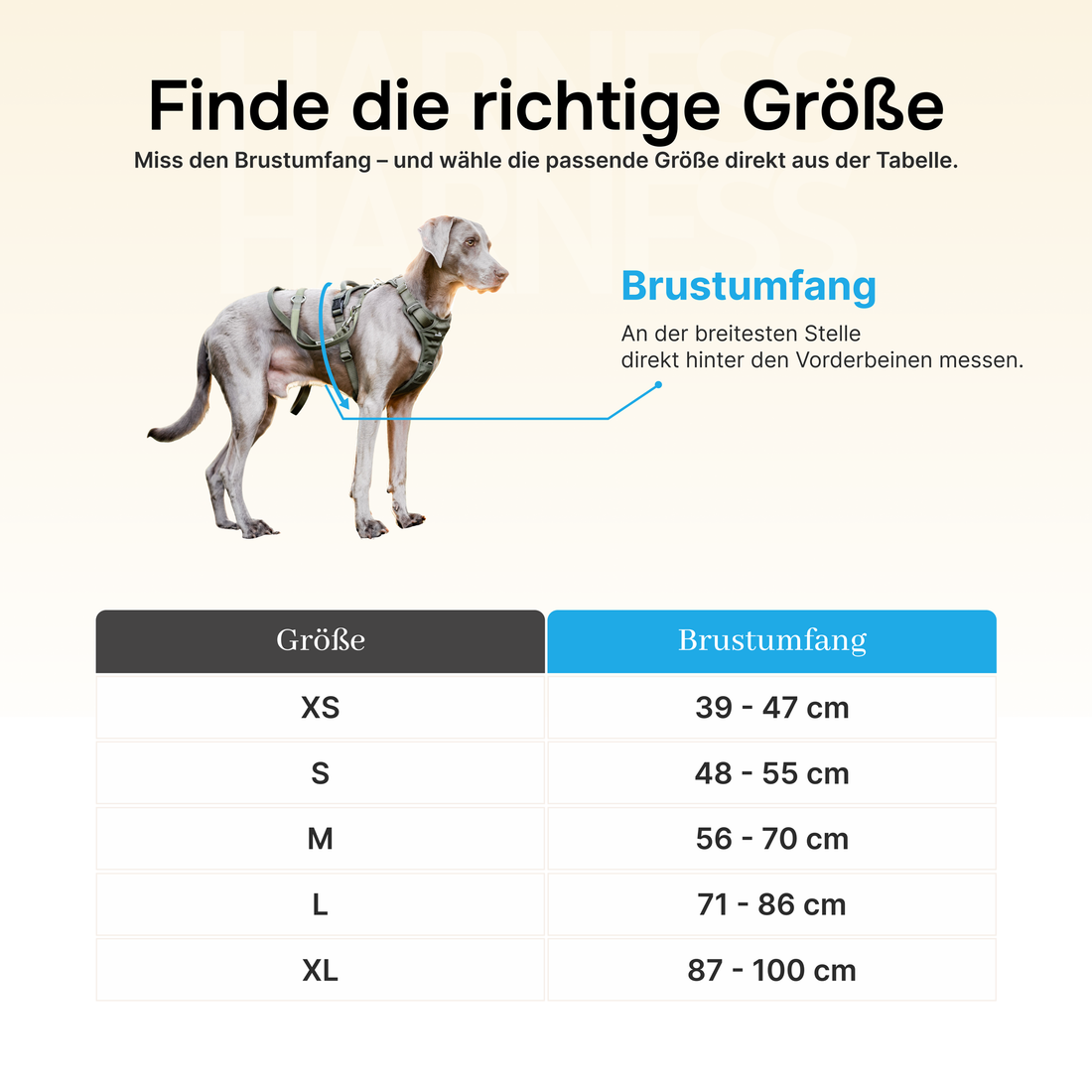 Atmungsaktives Hundegeschirr - Clyde Black Edition